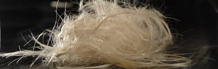 879 Kleckse blonde forward shampooing and haircut Dresden Germany
