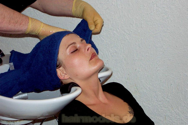 h028 blue pamper hobby