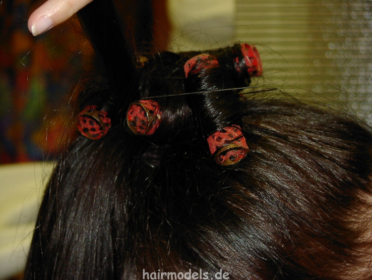 0006 misc rollersets