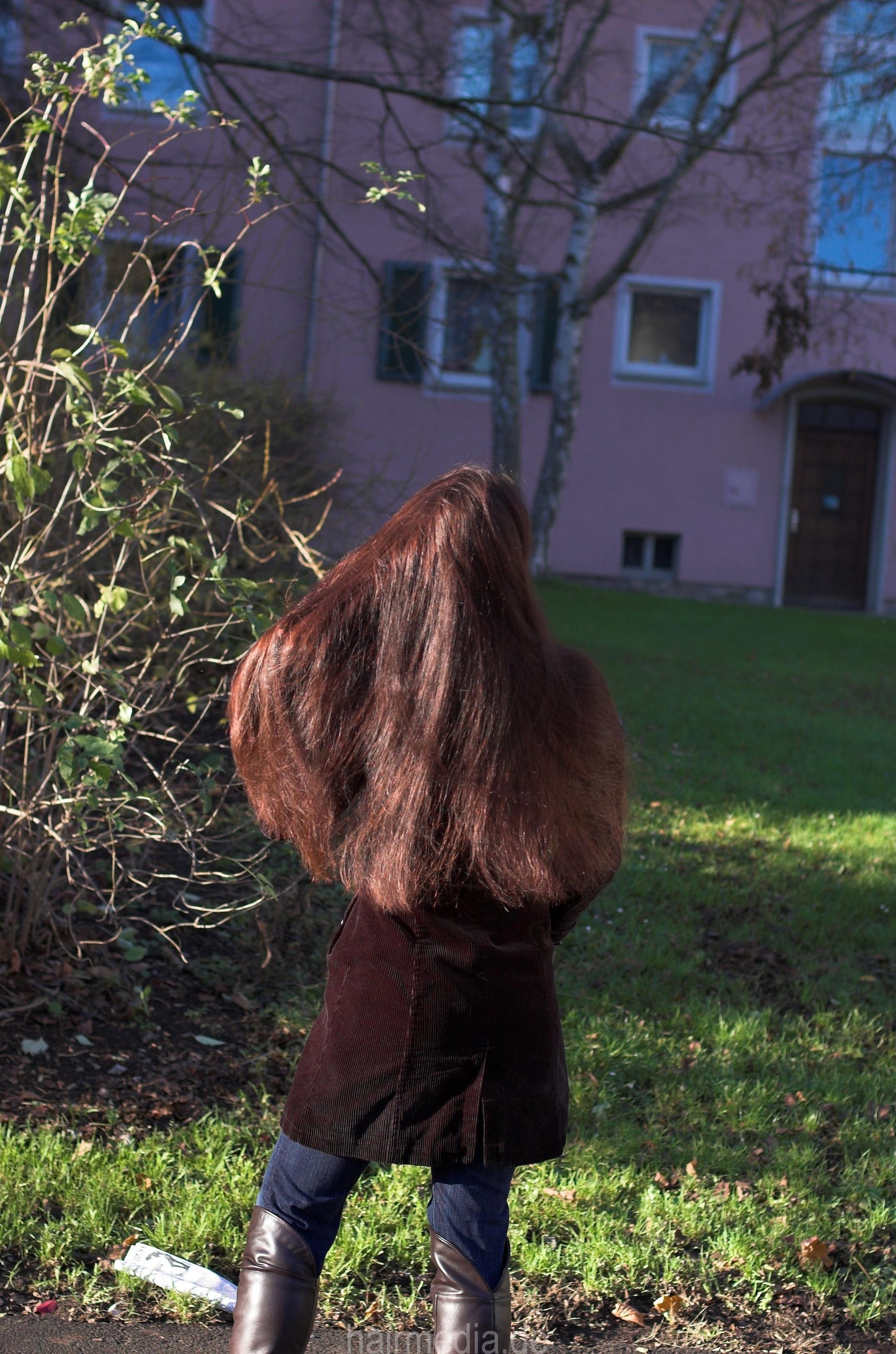 196 Antje 1 by LauraB longhair show outdoor