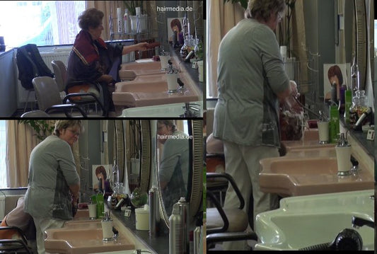 529 s1395f1 6 min HD video for download