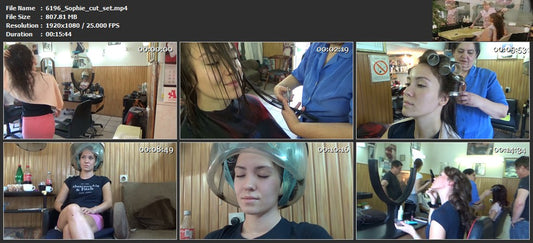 6196 Sophie cut and set