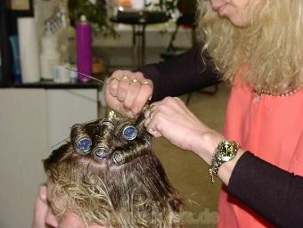 6206 Andrea barberettes each other shampoo and small rod wet set 100 pictures slideshow