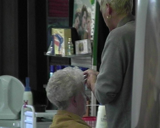 69 s0638 metal hoodryer short scene