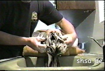 902 barber Joe shampooing at kitchen