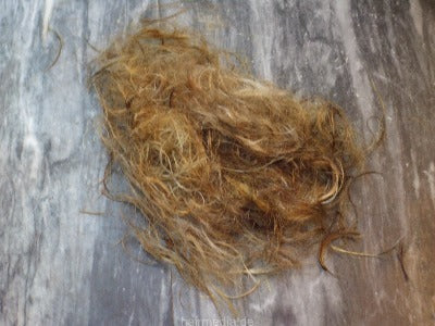 492 Joana 5 cut and style