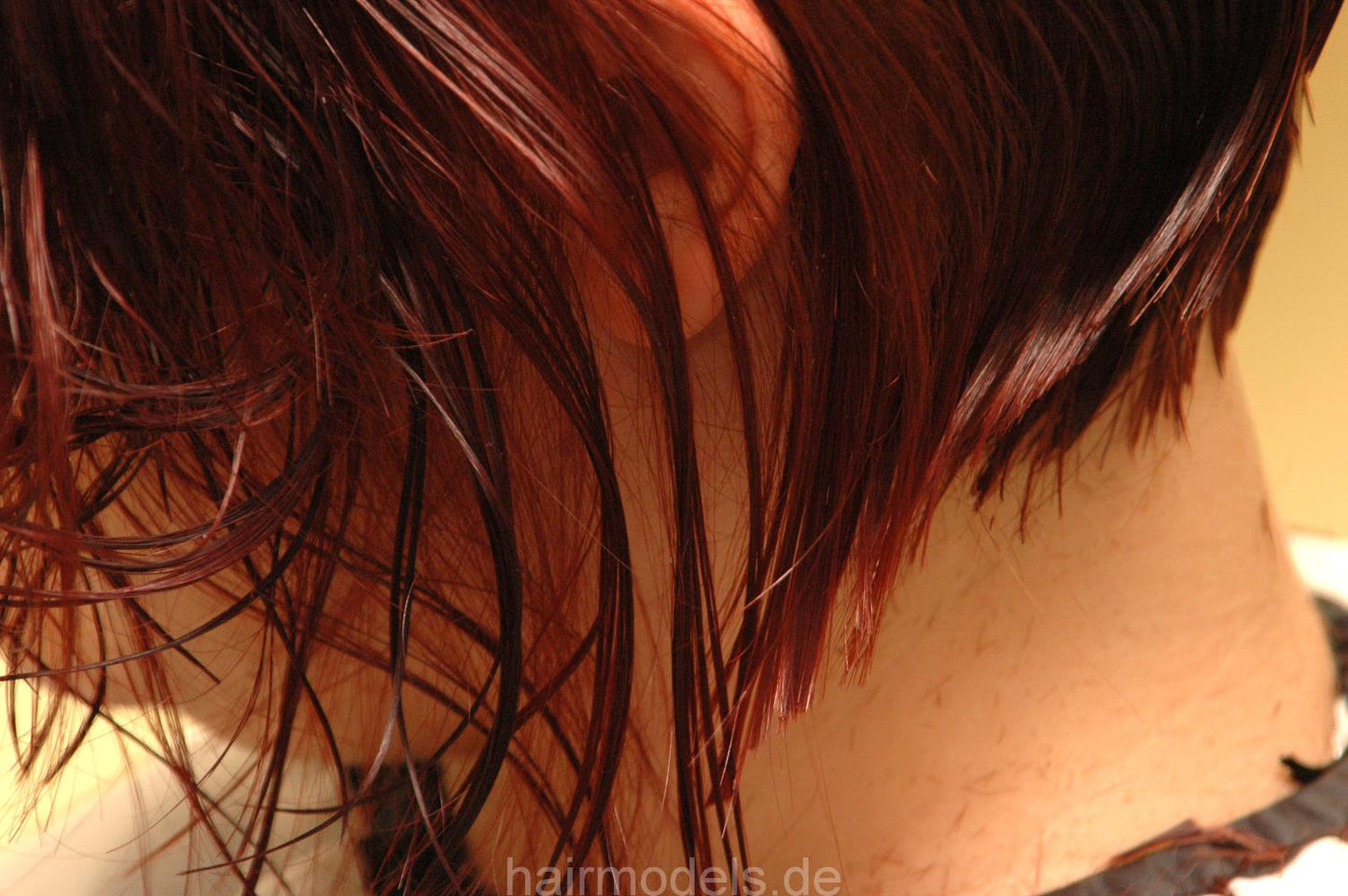884 PetraN wash and aline bob cut all scenes, 148 pictures for download