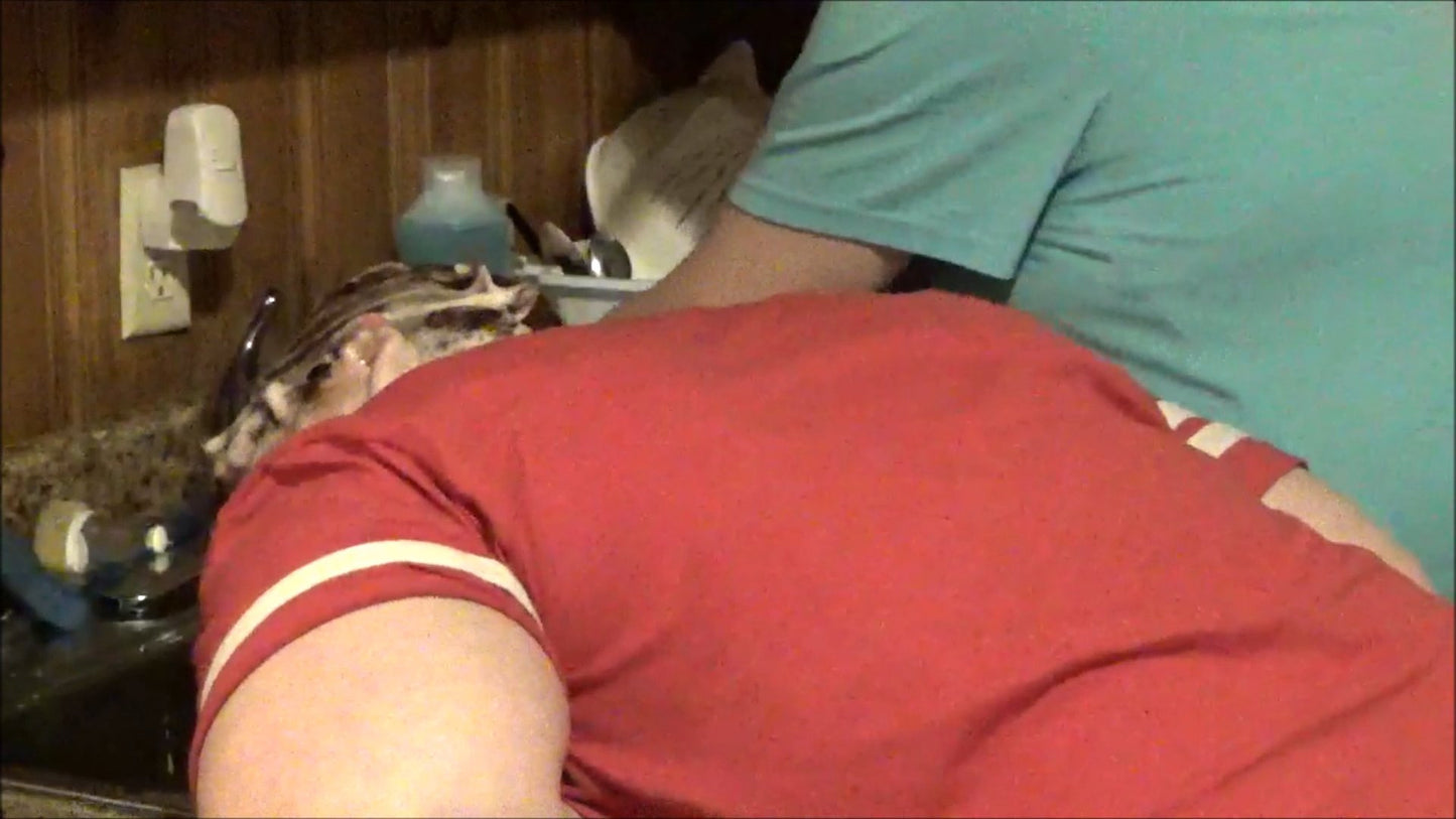 8156 hcd Gina Flat strong forward wash in kitchen sink 5 min HD video for download