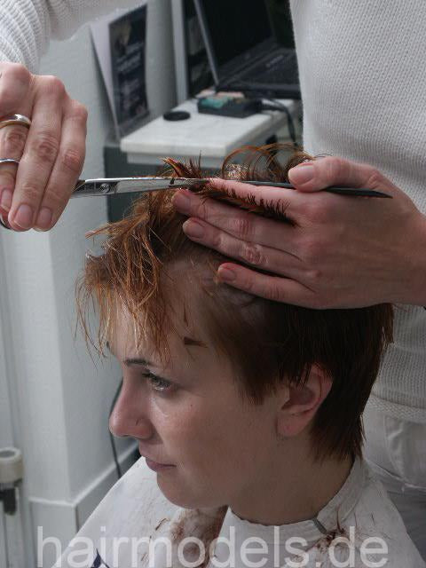 8014 SandraZ pixie shorthair haircut