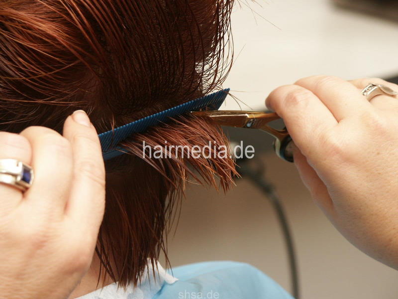 838 SandraZ Barbershop cut 220 pictures for download