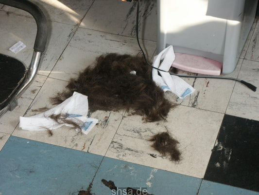 808 Ulrike  complete 417 pictures for download