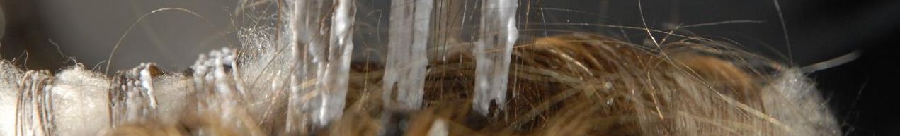 450 AlisaF strands Berlin s0050