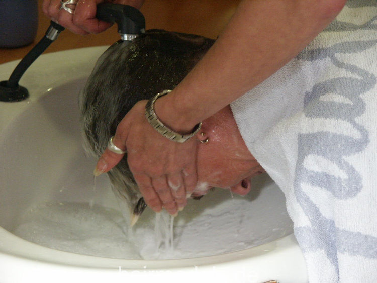 525 Salon s0052