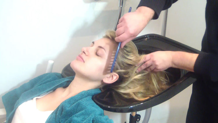 342 JG shampooing portugal