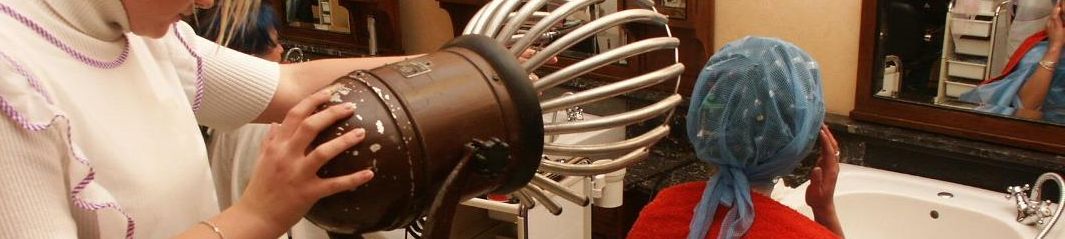 610 AnnaP by Marlit old fashioned dryers