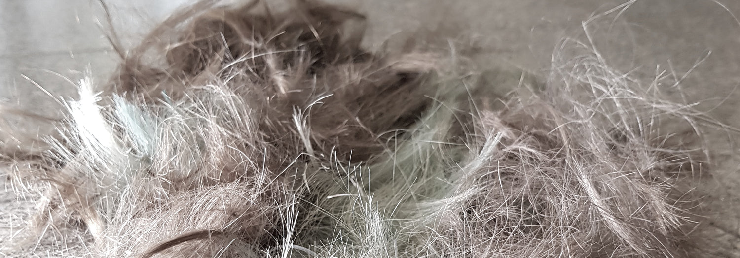 8153 by Yasemin dry cuts