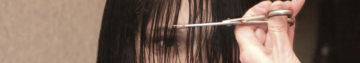 894 JanaD daughter cut by senior barberette s0052