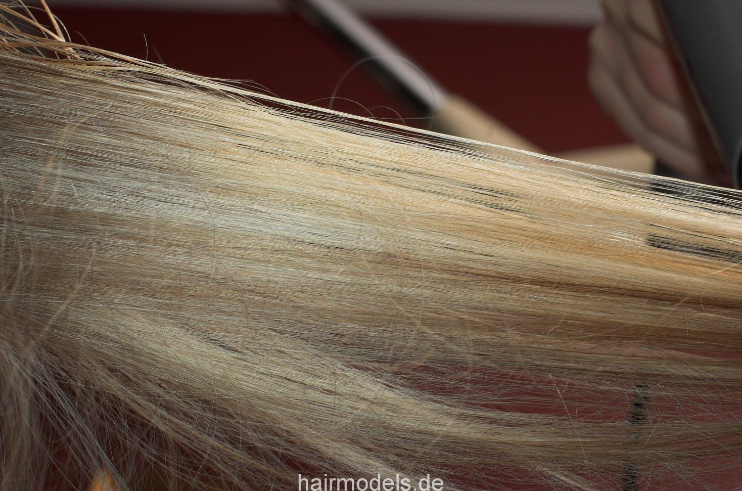 479 MarinaH bleaching