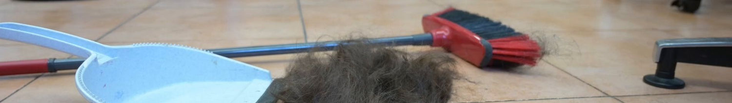 7113 KseniaK and Dzaklina perm sessions