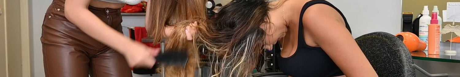 541 Berlin Salon forward shampooing