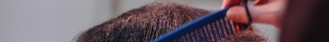 862 African A-Line by hobbybarber Truckdriver