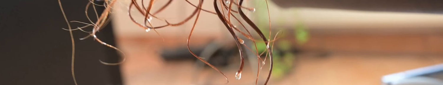 7203 Ukrainian hairdresser Anastasia in Frankfurt salon