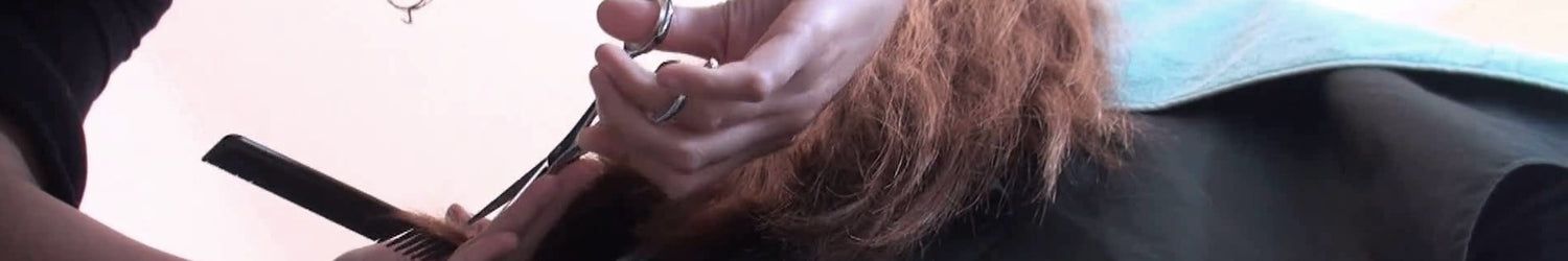 8043 s0469 long hair trim Frankfurt