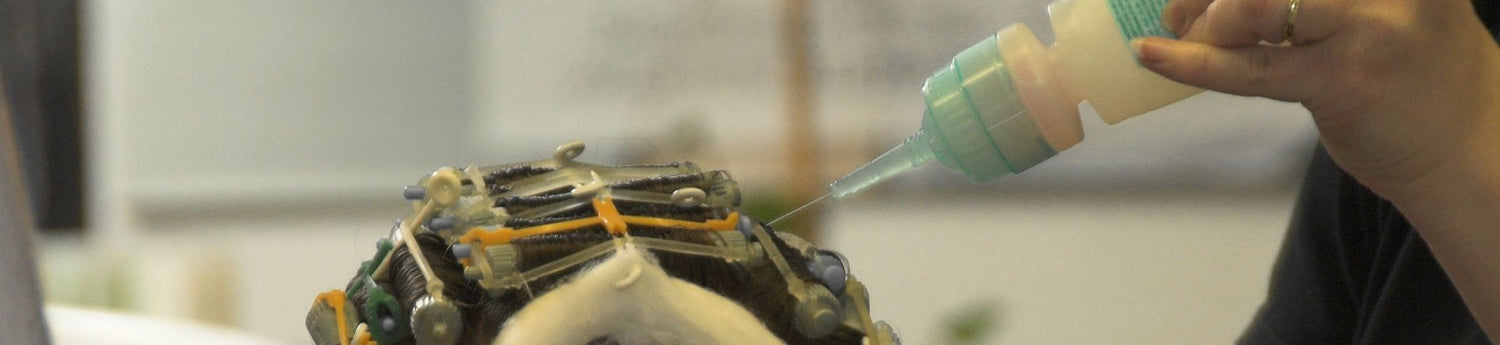 7005 s1754 Heidelberg Julia perm