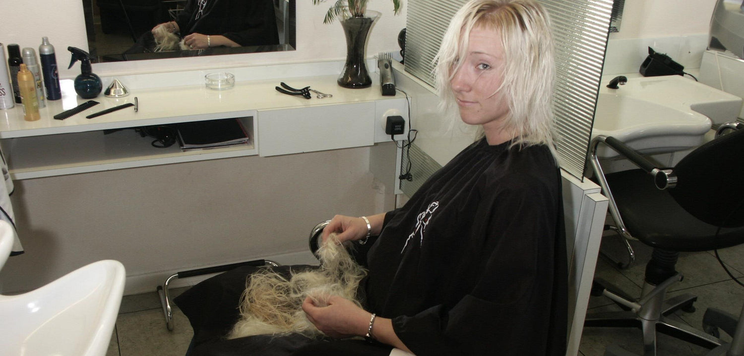 806 Monika s1751 Meschede bang accident