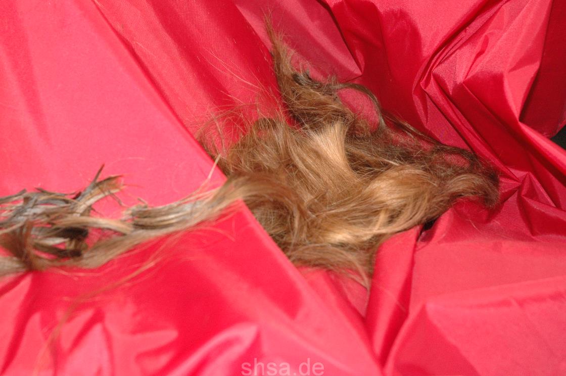 845 SarahS long to buzz by truckdriver