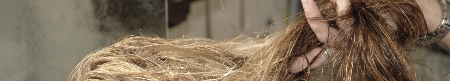 470 sisters bleaching by strong barberettes