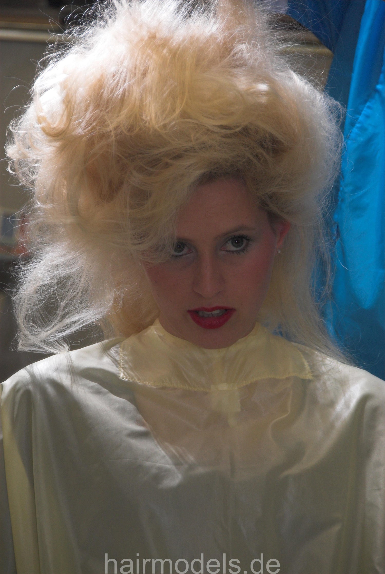 669 Veronika beehive