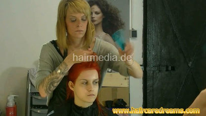 2702 Taranti dying red