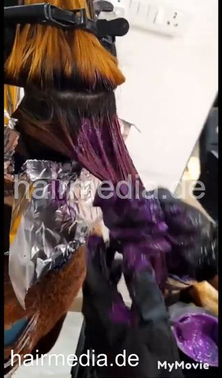 9149 Hair Color Session With Aneesha Multiple Colors