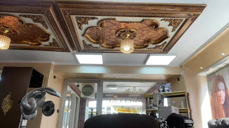 4117 Judy 0821 highlighting saloncam livestream