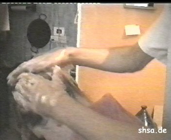 452 home hair coloring and shampooing 7 videos