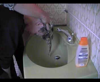9118 NadineRl by barber forward home bathsink shampooing