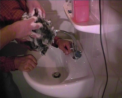 235 Ben mtm shampooing 4 min video for instant download
