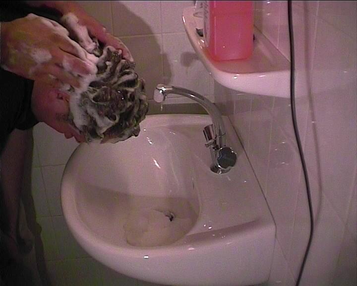 235 Ingo mtm 5 min shampooing video for instant download