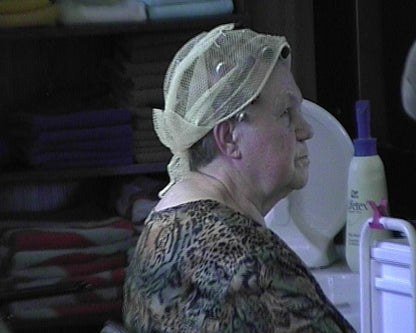 69 s0638 metal hoodryer short scene