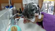 Cargar imagen en el visor de la galería, 8400 Jasna 4 forward shampoo hairwash cam2
