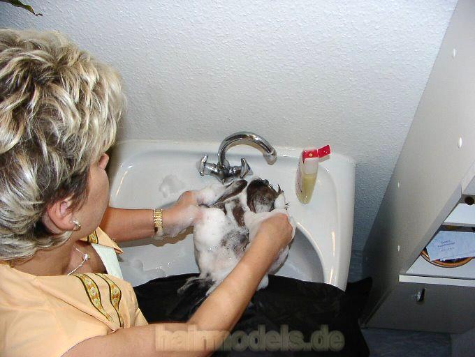 214 Barberette Yasmin strong forward head wash male client bath room sink