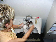 Cargar imagen en el visor de la galería, 214 Barberette Yasmin strong forward head wash male client bath room sink
