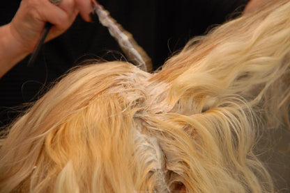 453 ClaudiaH bleaching  TRAILER and slideshow