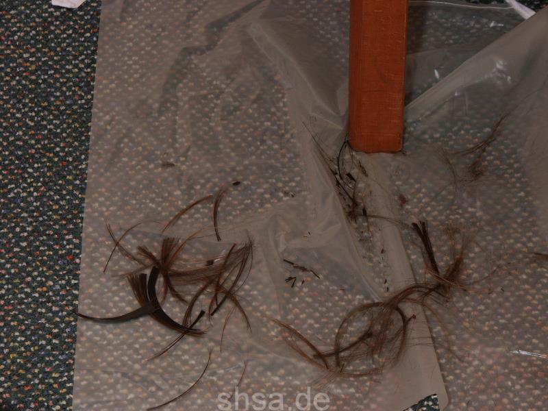 8004 Katarzyna parallel trick cut video for download