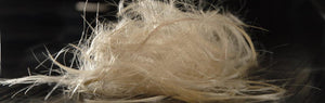 879 Kleckse 2 Riesa haircutting blonde teen by mature barerette