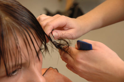 872 Julie wash and bob cut 24 min video for download