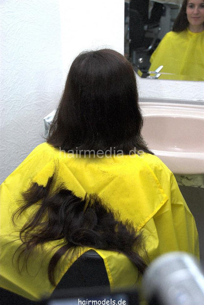 8036 Heidi drycut and wet cut in yellow cape