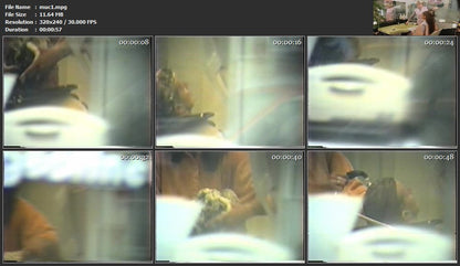 308 misc 80s shampooing 28 videoclips for download