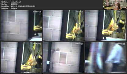 308 misc 80s shampooing 28 videoclips for download